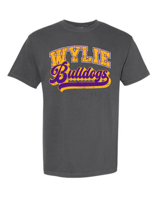 Wylie PTO - Script