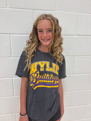 Wylie PTO - Script