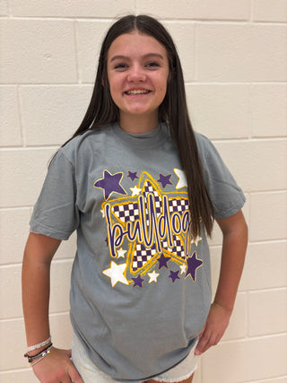 Wylie PTO - Stars