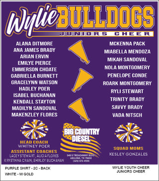 Wylie Youth Cheer - Juniors