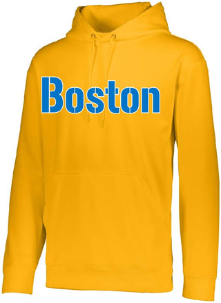 Wylie LL Majors - Red Sox Hoodie